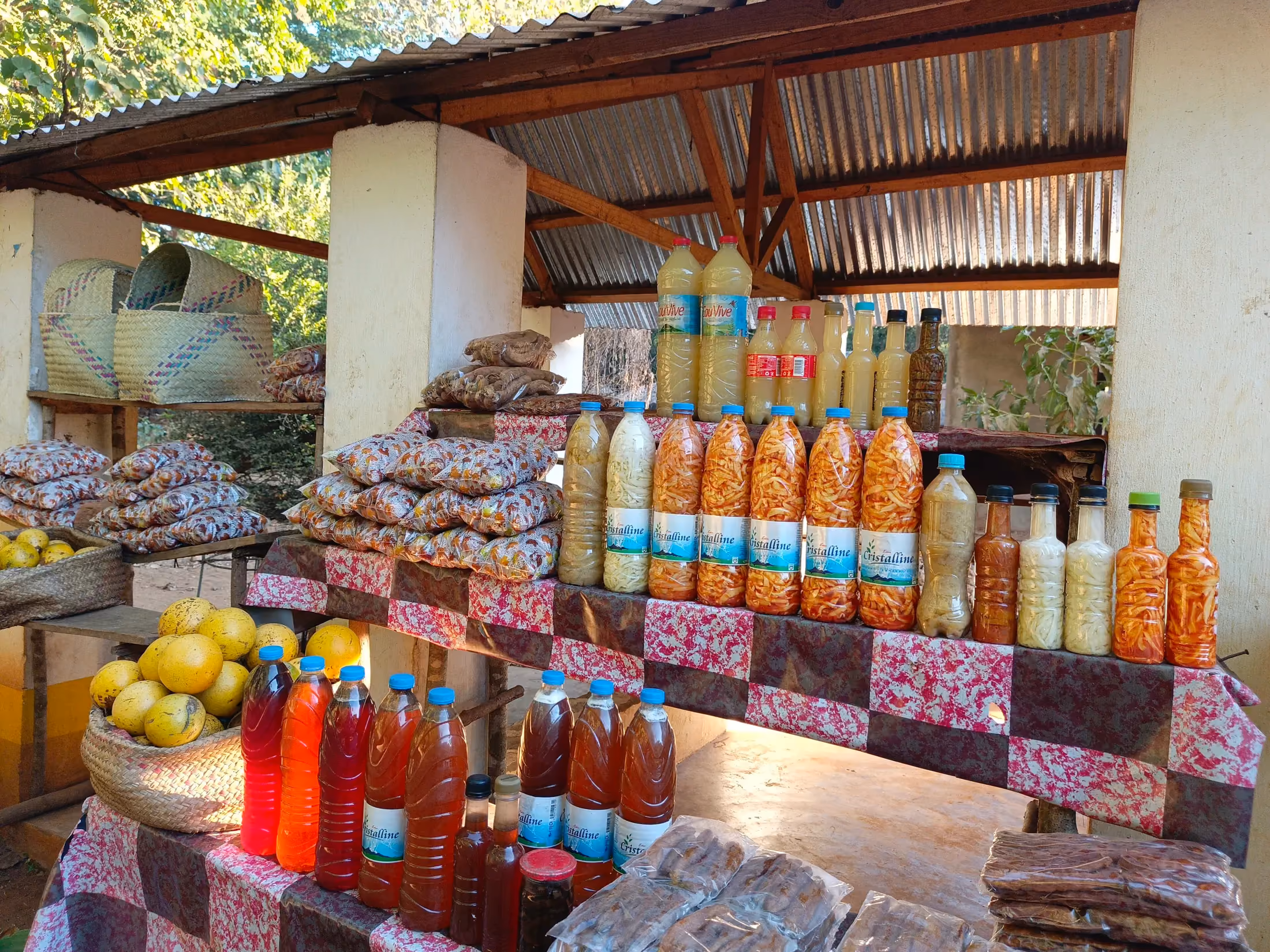 Lemurs and medicinal plants in the Lemuria Land park on Nosy Be
