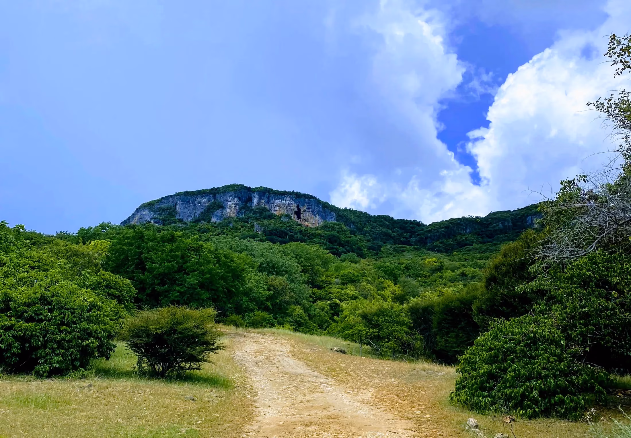 Hiker at the summit of the Mountain of the French above Diego Suarez bay