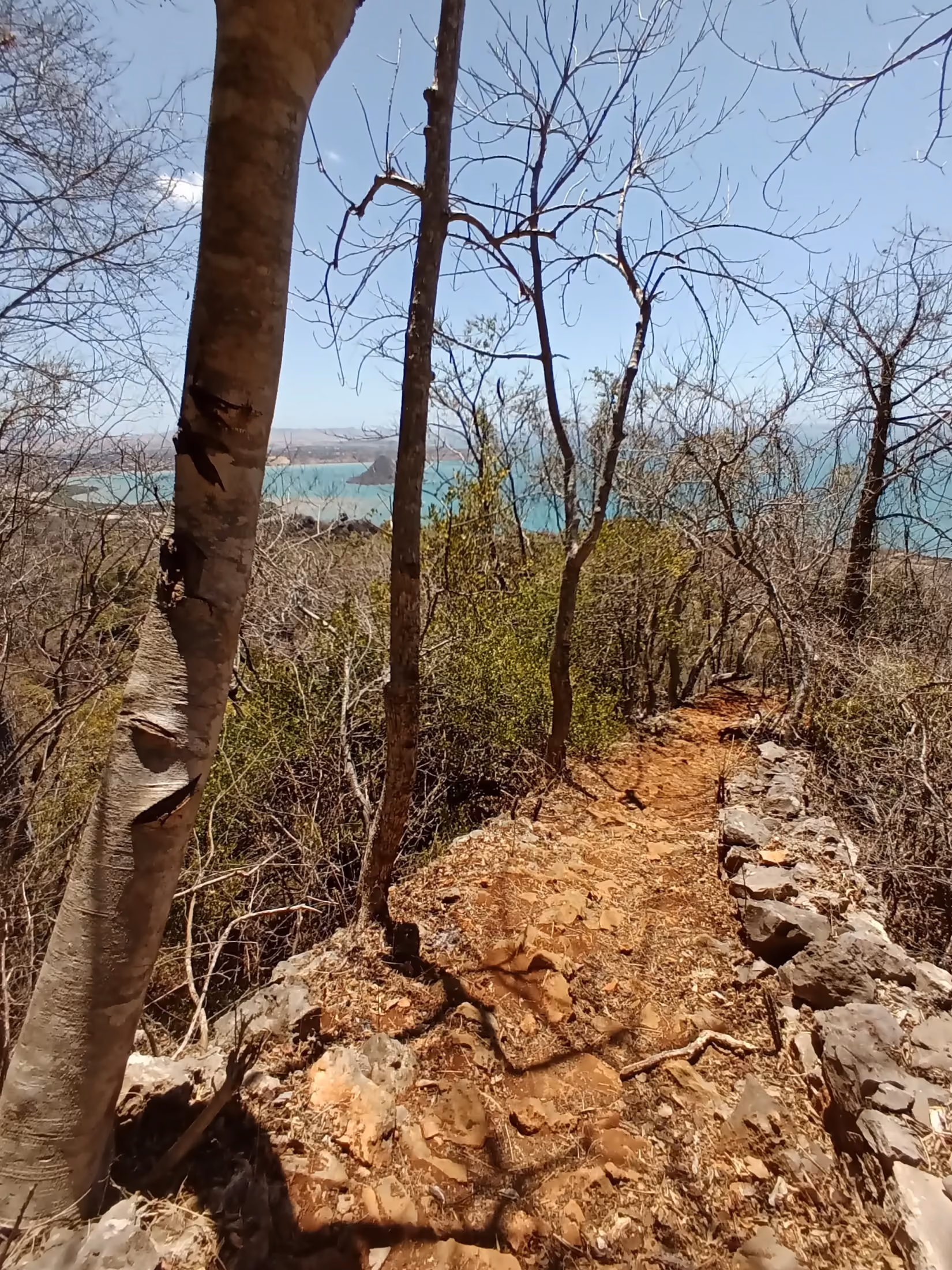 Trail climbing through natural landscapes above Antsiranana