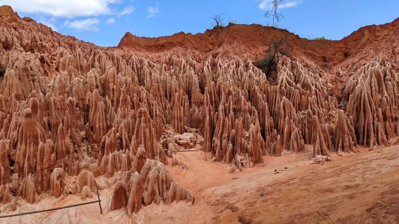 Red laterite pinnacles of the Red Tsingy of Irodo in Northern Madagascar