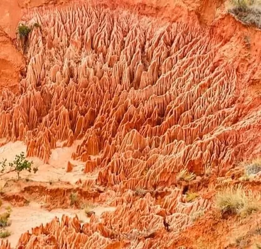 Sculpted red sandstone spires shaped by wind and rain