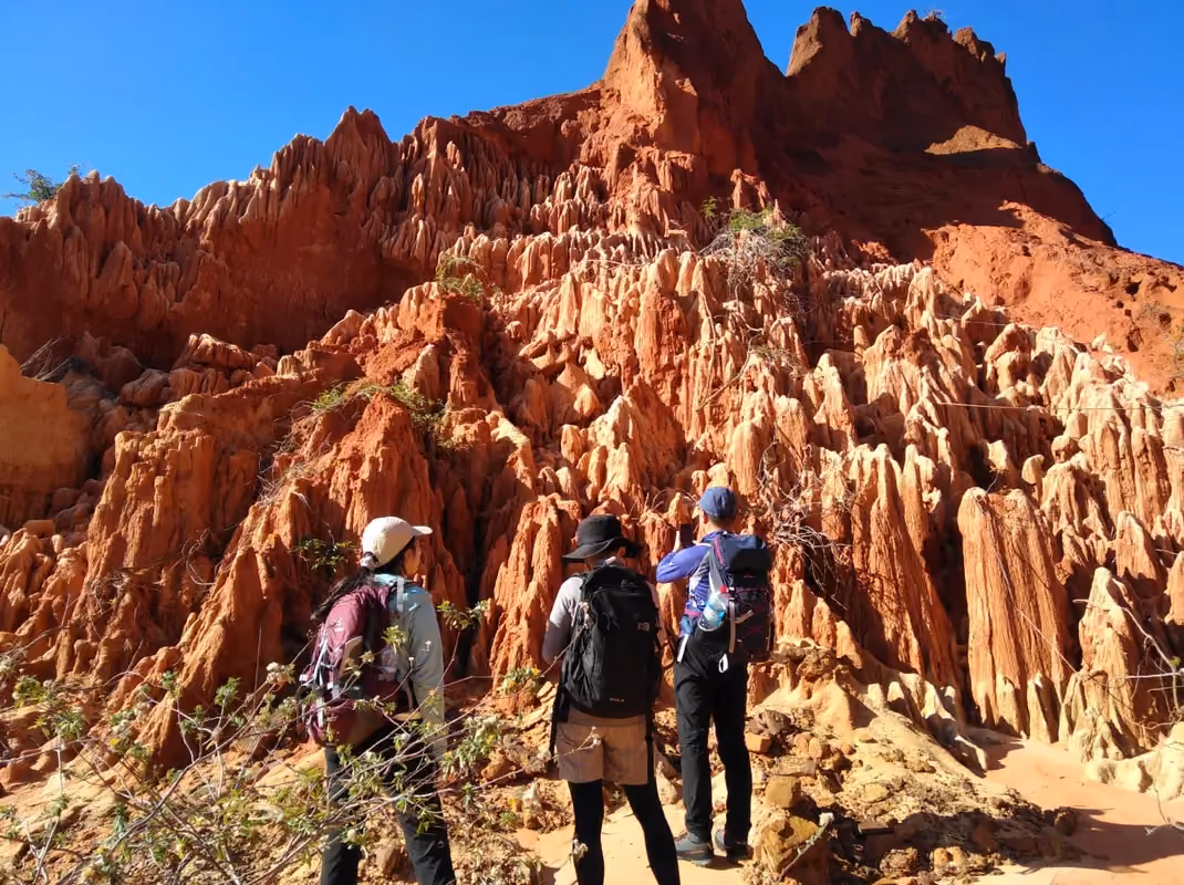 Trail winding between the formations of the Red Tsingy