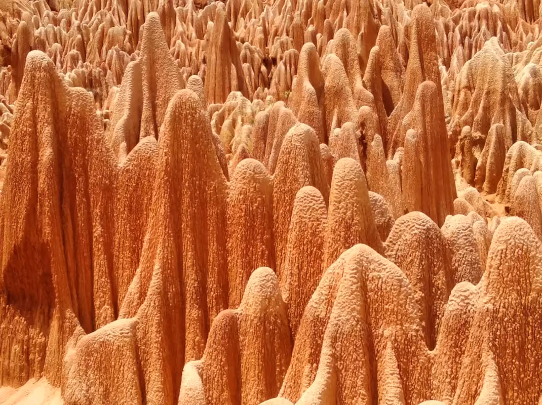 Sunlight on the crimson pinnacles of the Red Tsingy of Irodo