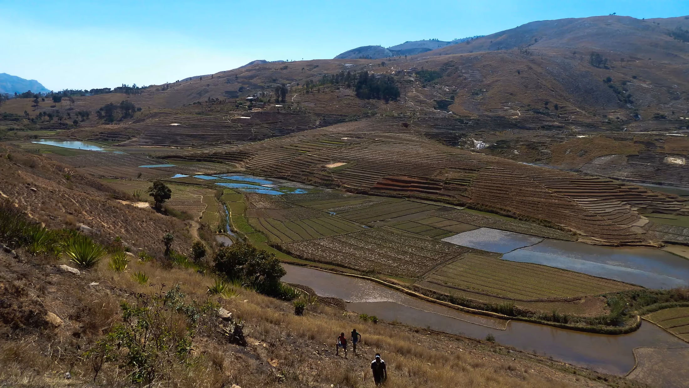 Terraced rice fields in the highlands of Madagascar
