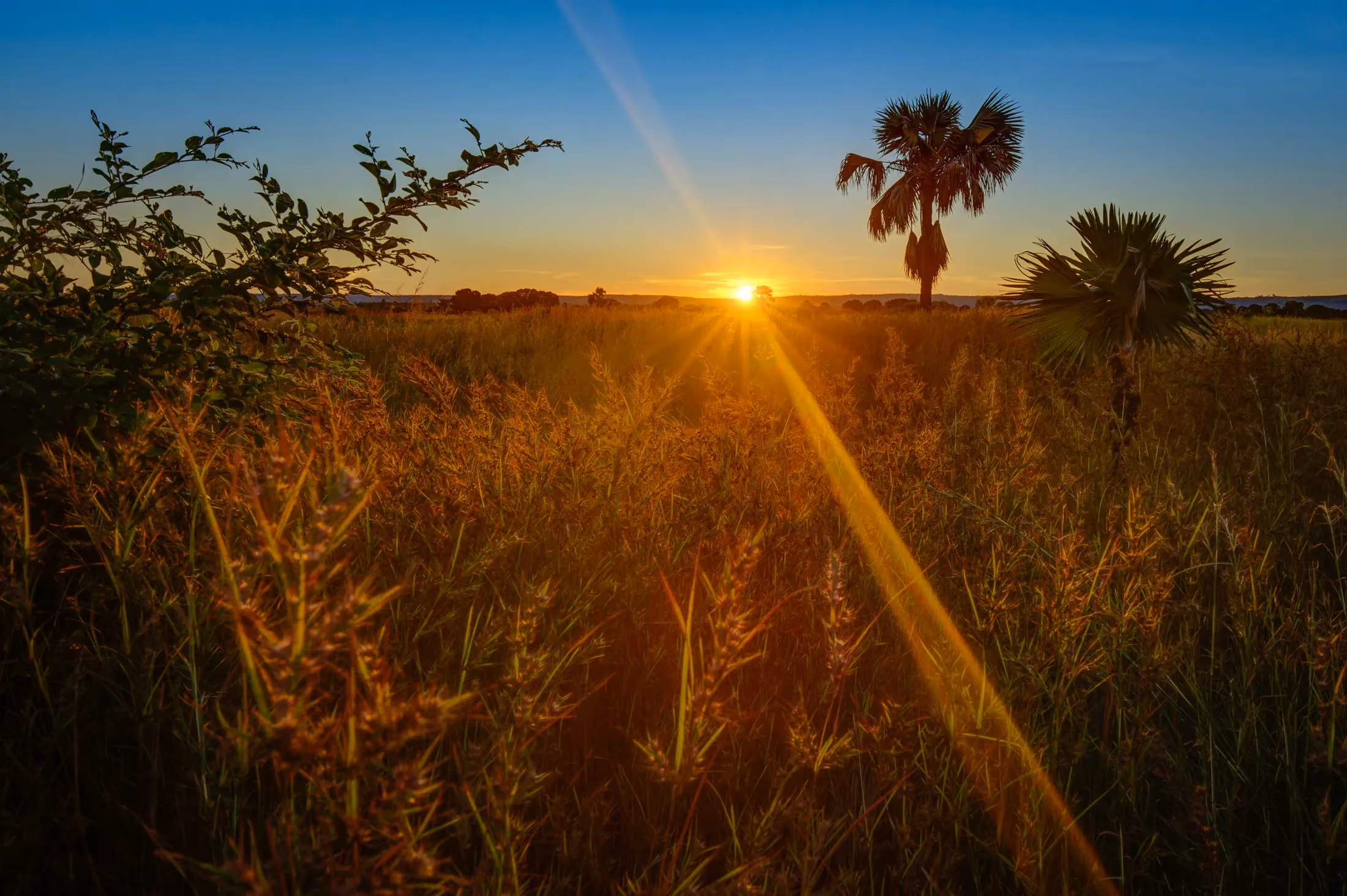 Sunset over the Malagasy landscape